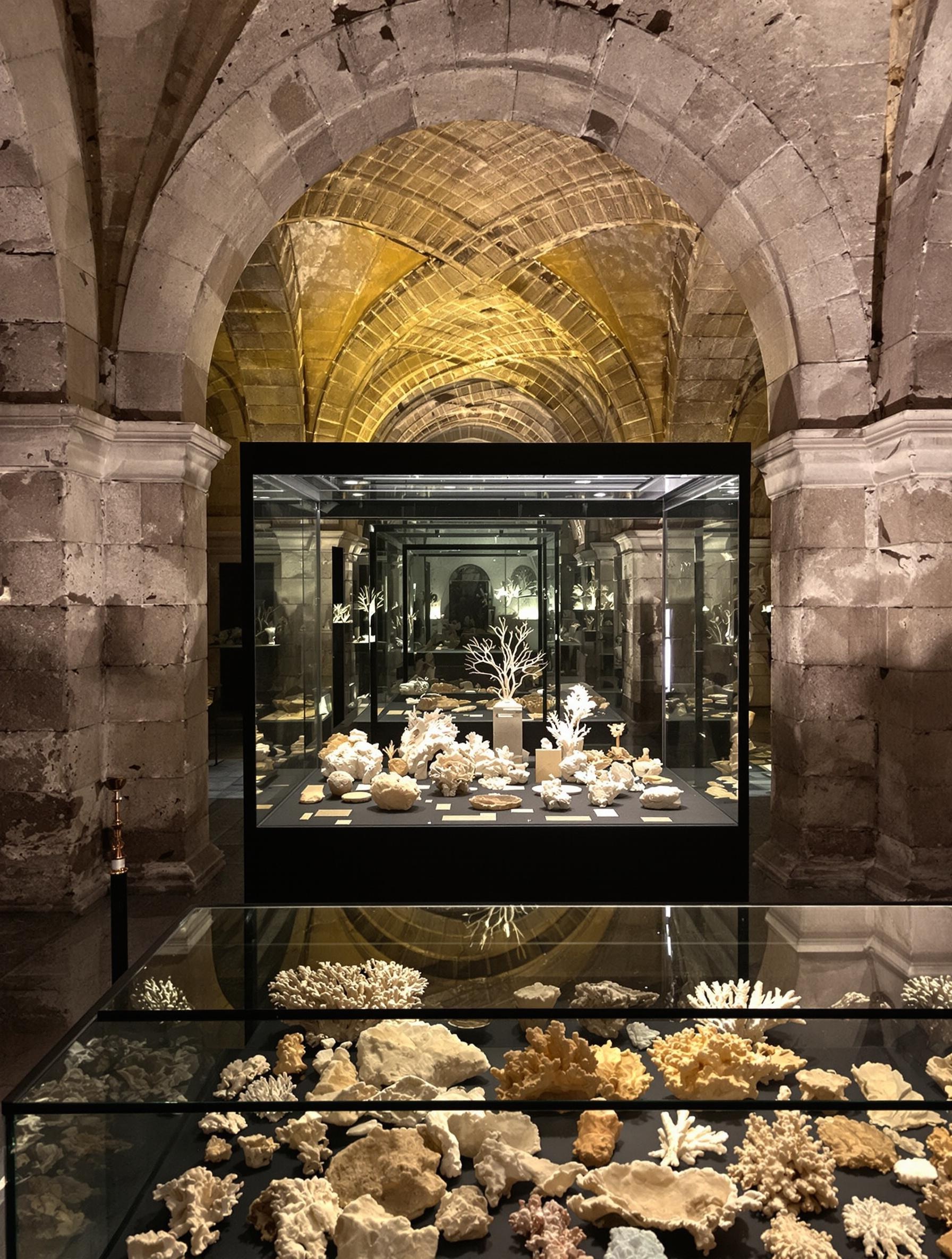 intérieur du Musée Régional Pepoli à Trapani, vitrine de corail trapanese, cloître ancien